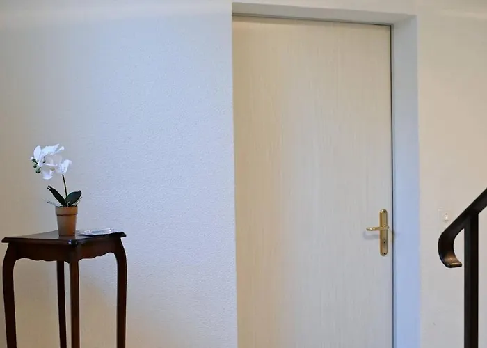 Ruga Vacation Rental 4 In Ascona Ascona